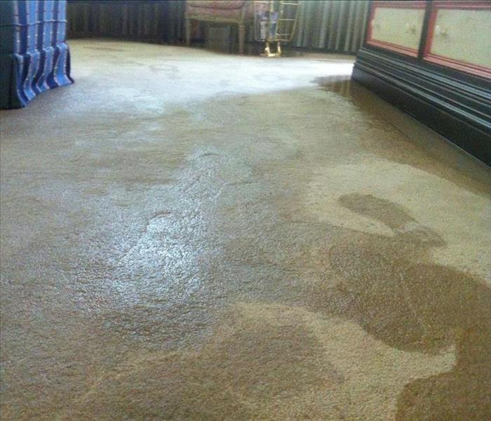 Carpet Soaked With Water