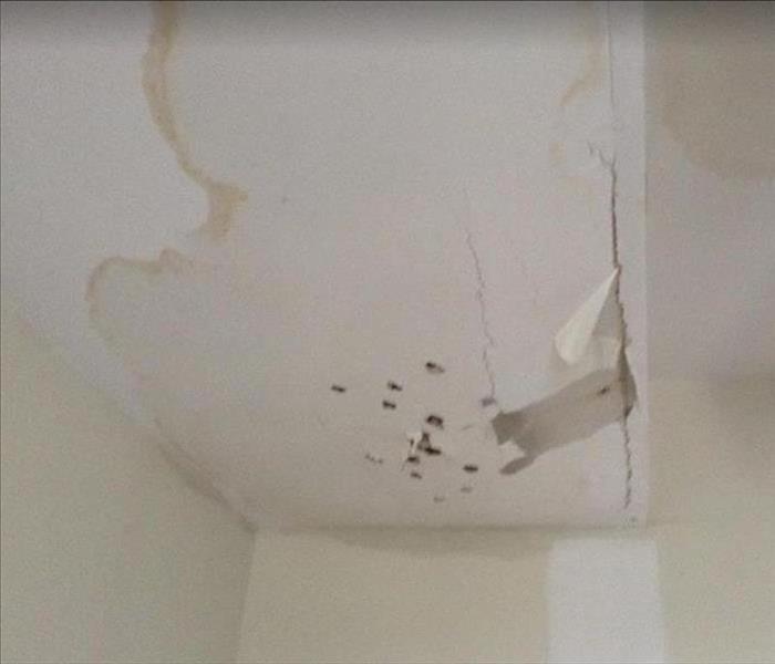 water damaged ceiling; stains on ceiling; holes have been poked to drain excess water