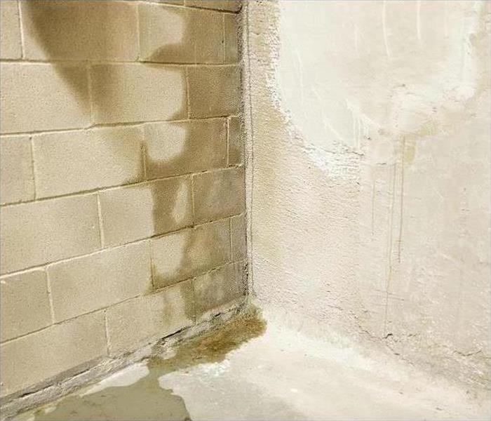 water damaged cinder blocks in basement