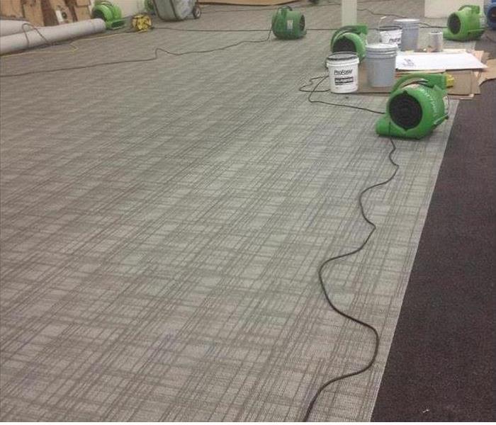 Five our our air movers on the carpet in this building 